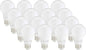 16 Count (Pack of 1)Soft White60 Watt