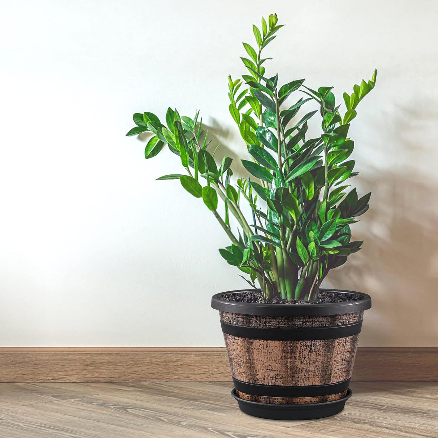 Whiskey Barrel Planters: A Rustic Touch for Your Indoor & Outdoor Garden