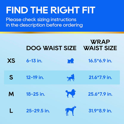 HONEY CARE All-Absorb A26 Male Dog Wrap Review