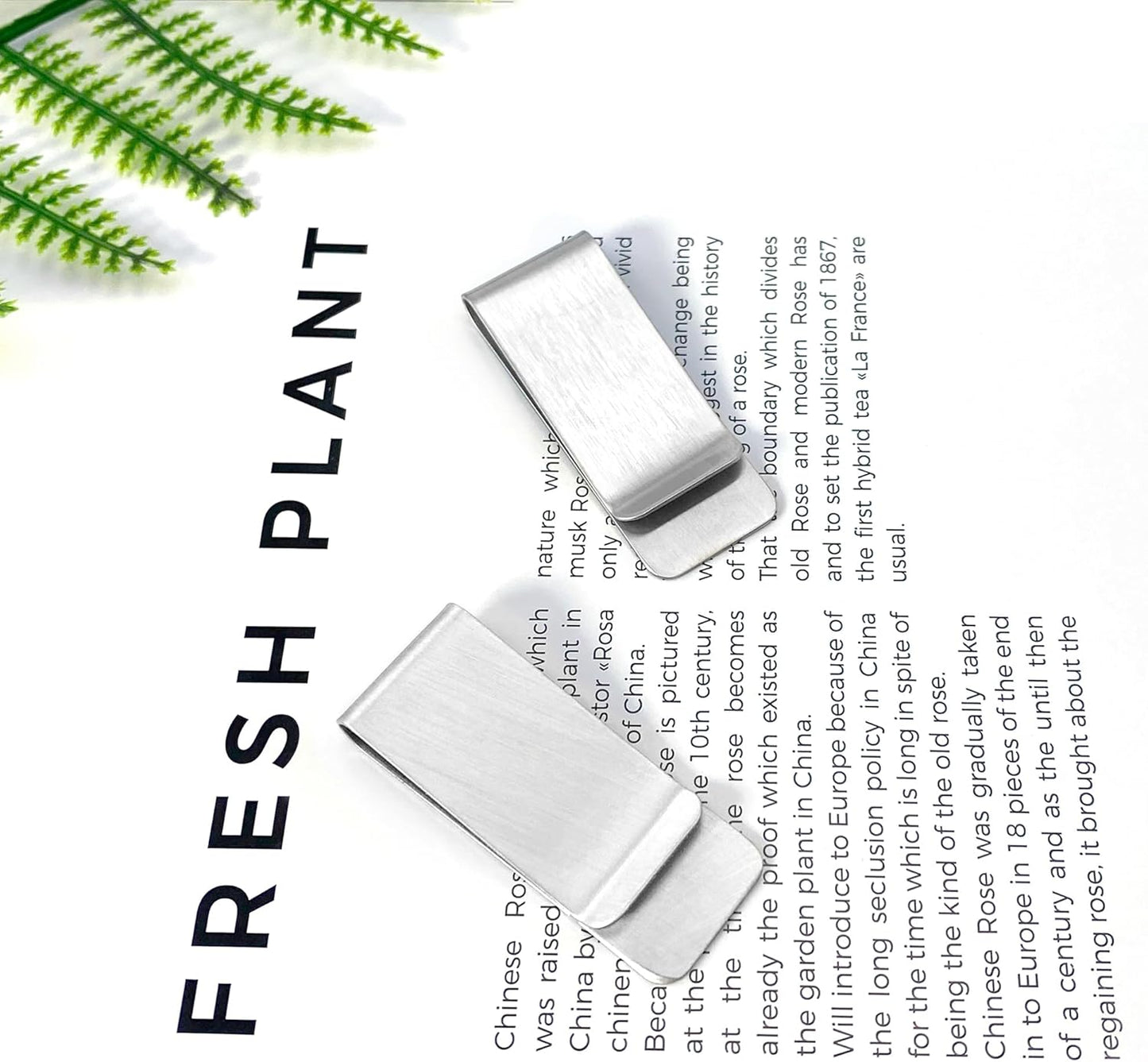 2 PCS Stainless Steel Slim Money Clips Sturdy Cash Receipt Note Clip Credit Card Wallet Bill Holders for Men and Women - Silver and Gold