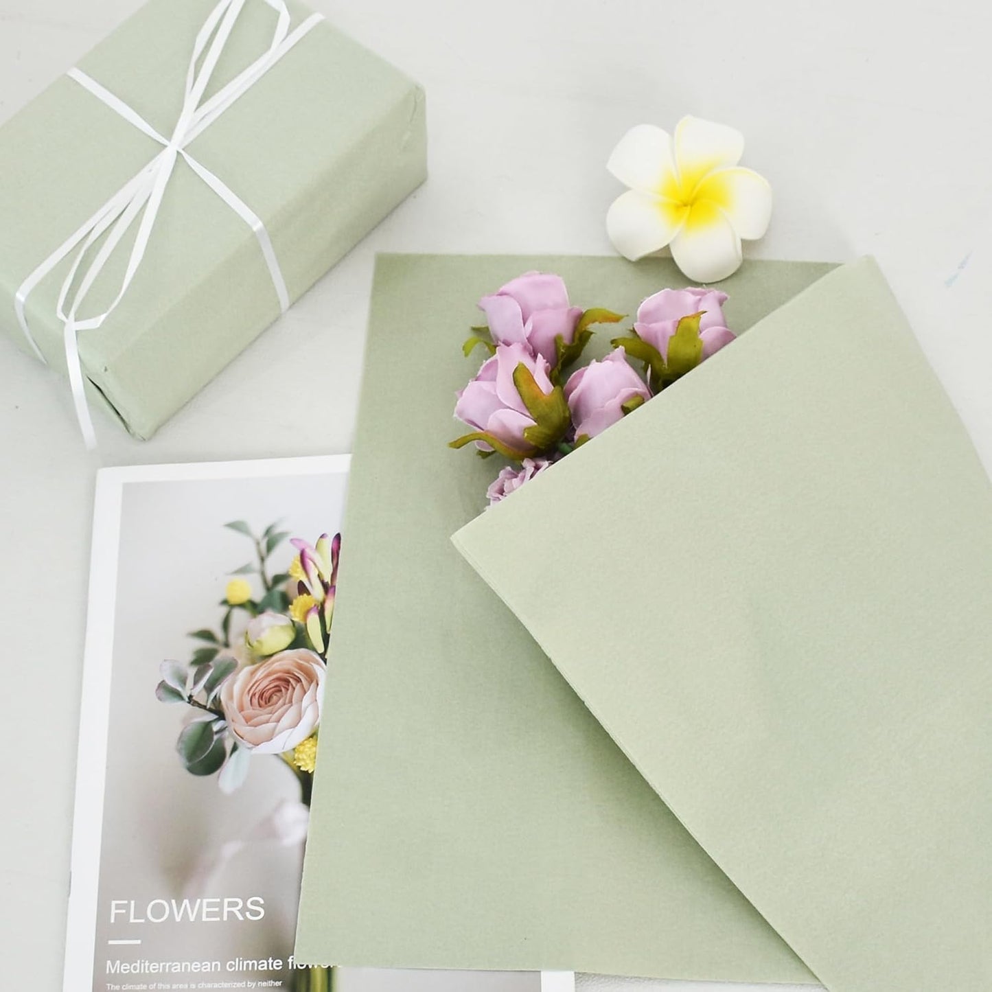 100 Blatt Seidenpapier Salbeigrün 35x50cm Geschenkpapier Seidenpapier Großpackung für DIY-Projekte Geschenktüten Geschenkverpackungen Hochzeiten Valentinstag Ostern Weihnachten und Geburtstagsfeiern Basteln
