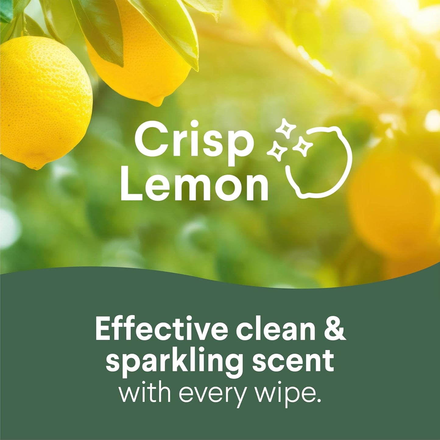 Stay Ahead of Allergy Season with Clorox Disinfecting Wipes
