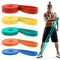 Pull Up Bands, Resistance Bands Set, Exercise Workout Bands for Men & Women, Ideal for Body Stretching, Physical Therapy and Muscle Training