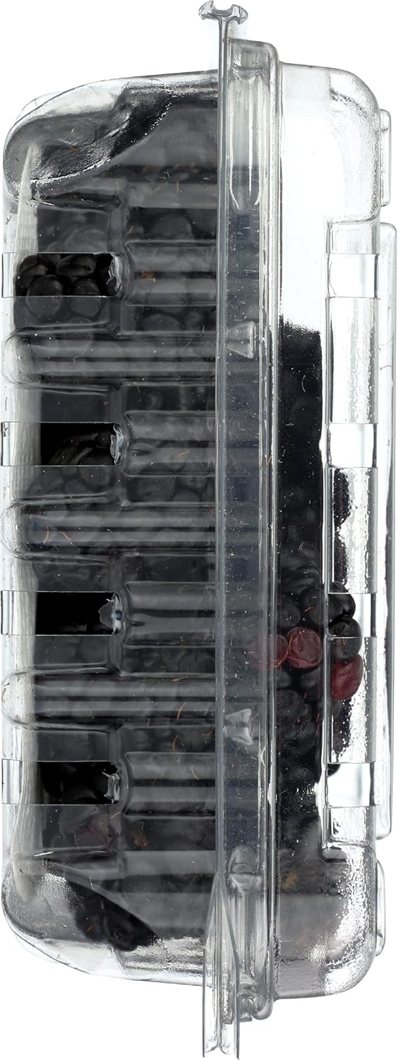 Fresh Blackberries for Snacking and More