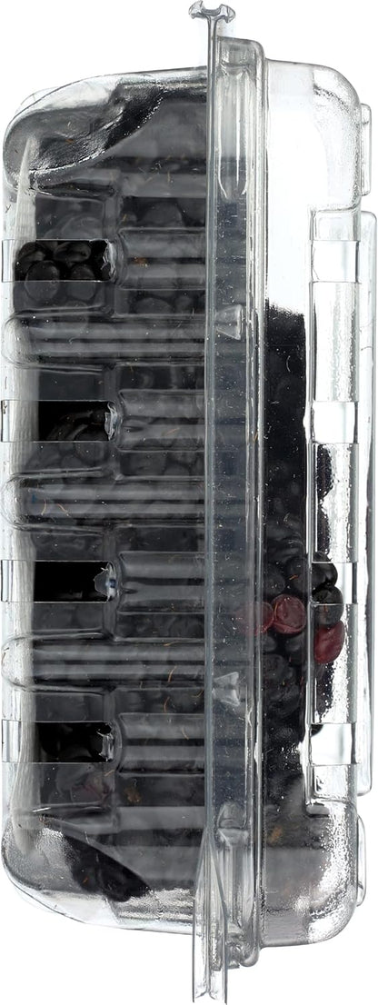 Fresh Blackberries for Snacking and More