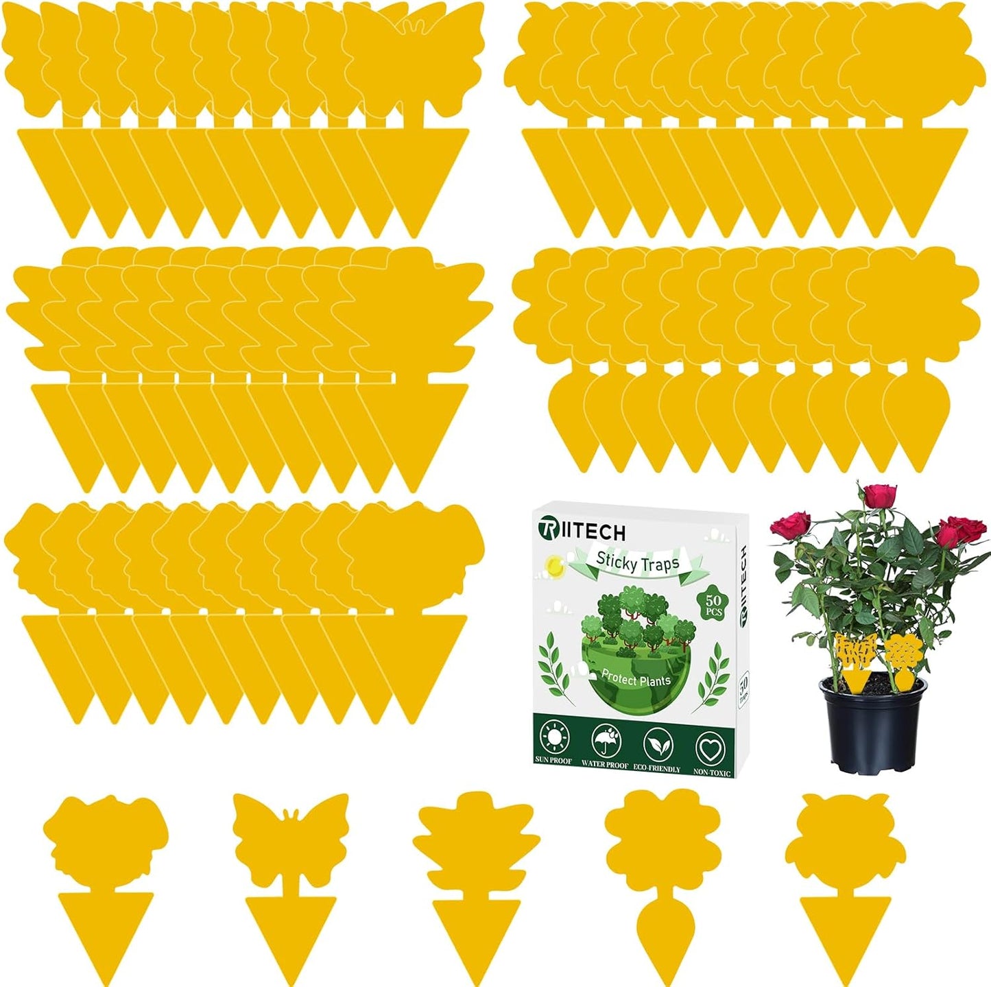 Fruit Fly Traps, TRIITECH 50 Pack Sticky Fly Traps, Plant Fly Stickers, Sticky Bug Traps for Indoor and Outdoor