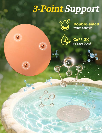 Mellbree Bird Bath Copper Disc: A Game-Changer for Clean Water
