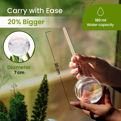 Iridescent Self Watering Globes: A Game-Changer for Indoor Plant Parents