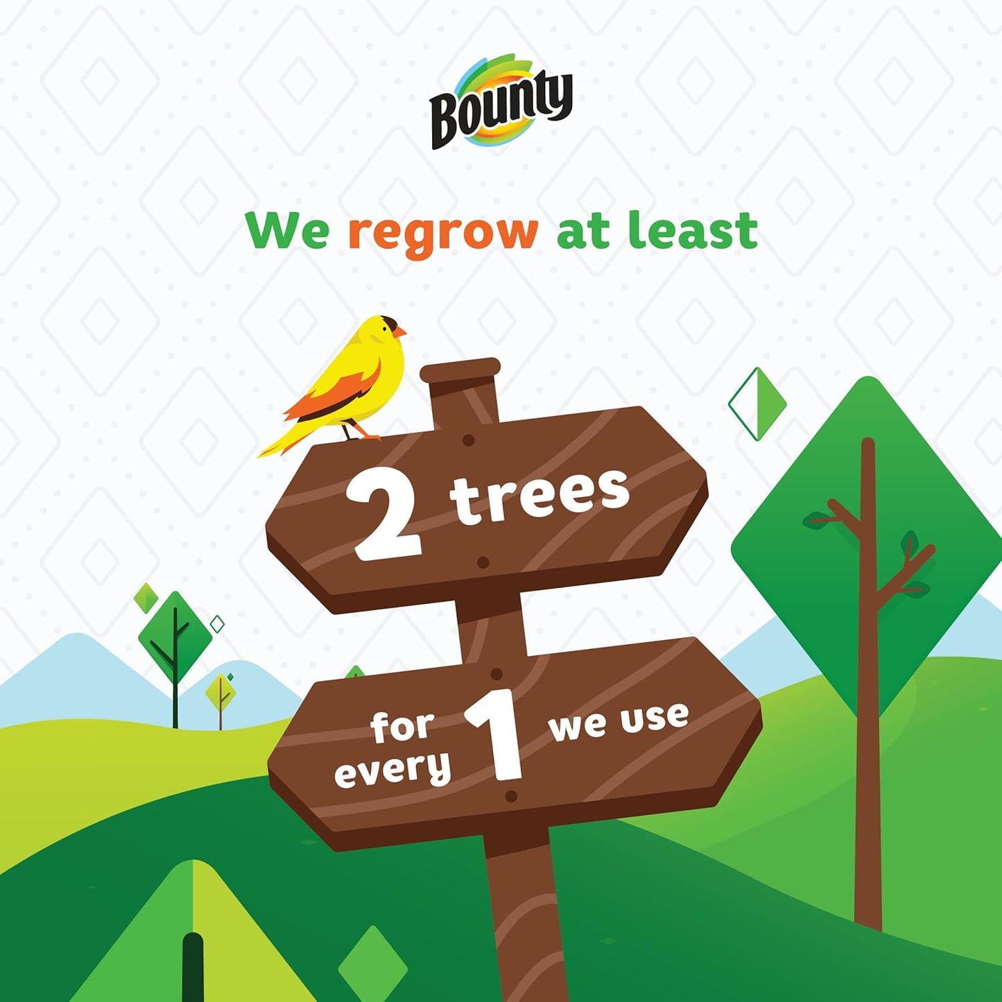 Bounty Paper Towels: The Ultimate Cleaning Companion