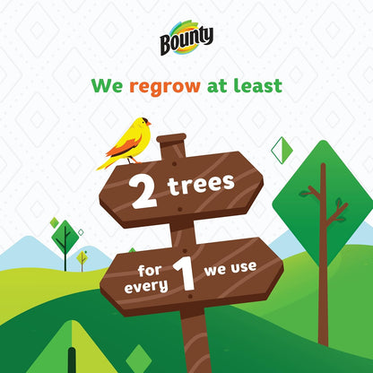 Bounty Paper Towels: The Ultimate Cleaning Companion