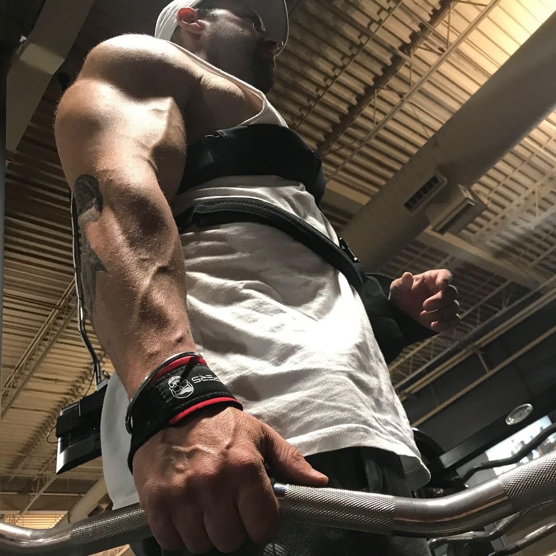 Gymreapers Hebe-Handgelenkbandagen für Gewichtheben, Bodybuilding, Powerlifting, Krafttraining und Kreuzheben – gepolstertes Neopren mit 45,7 cm Baumwolle
