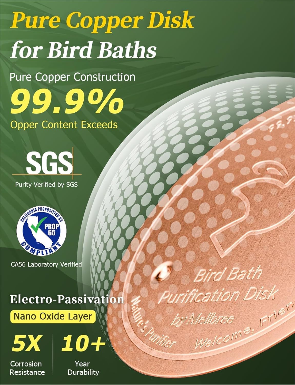 Mellbree Bird Bath Copper Disc: A Game-Changer for Clean Water