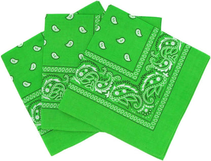 3 Pack Lime