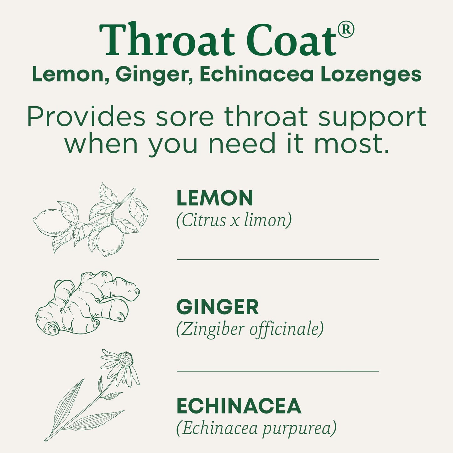 Traditional Medicinals Organic, Throat Coat Lozenges, Lemon Ginger Echinacea - Herbal Cough Drops, Helps Soothe Sore Throat - Non-GMO, Stimulant-Free - 16 Count (Pack of 12)
