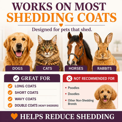 SleekEZ Dog Brush for Shedding - A Game-Changer for Pet Owners