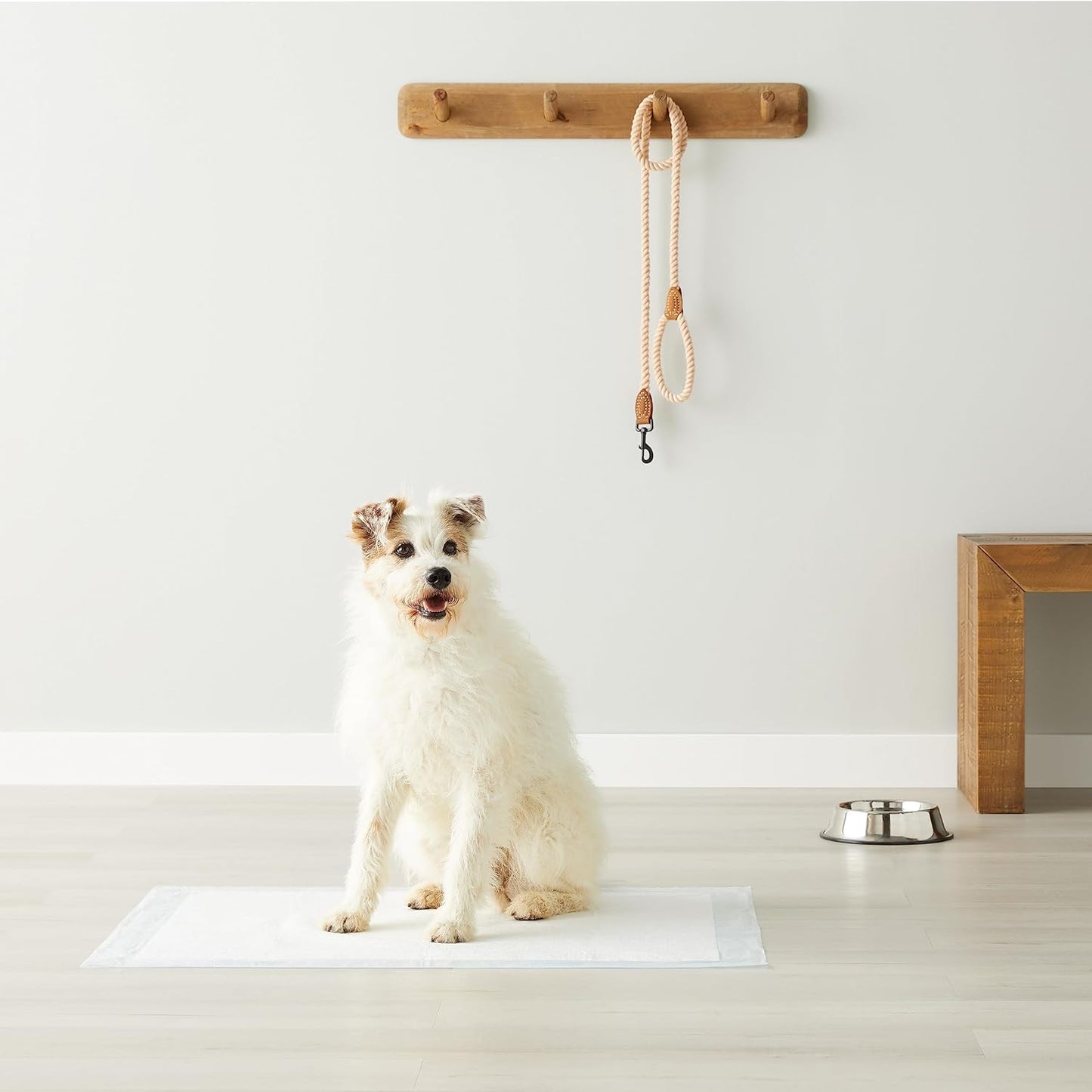 Amazon Basics Puppy Potty Pads: A Game-Changer for Dog Owners