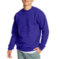 Hanes Men’s EcoSmart Fleece SweatshirtSweatshirt