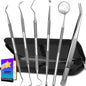 Silver Dental Tools With Pure Black Case