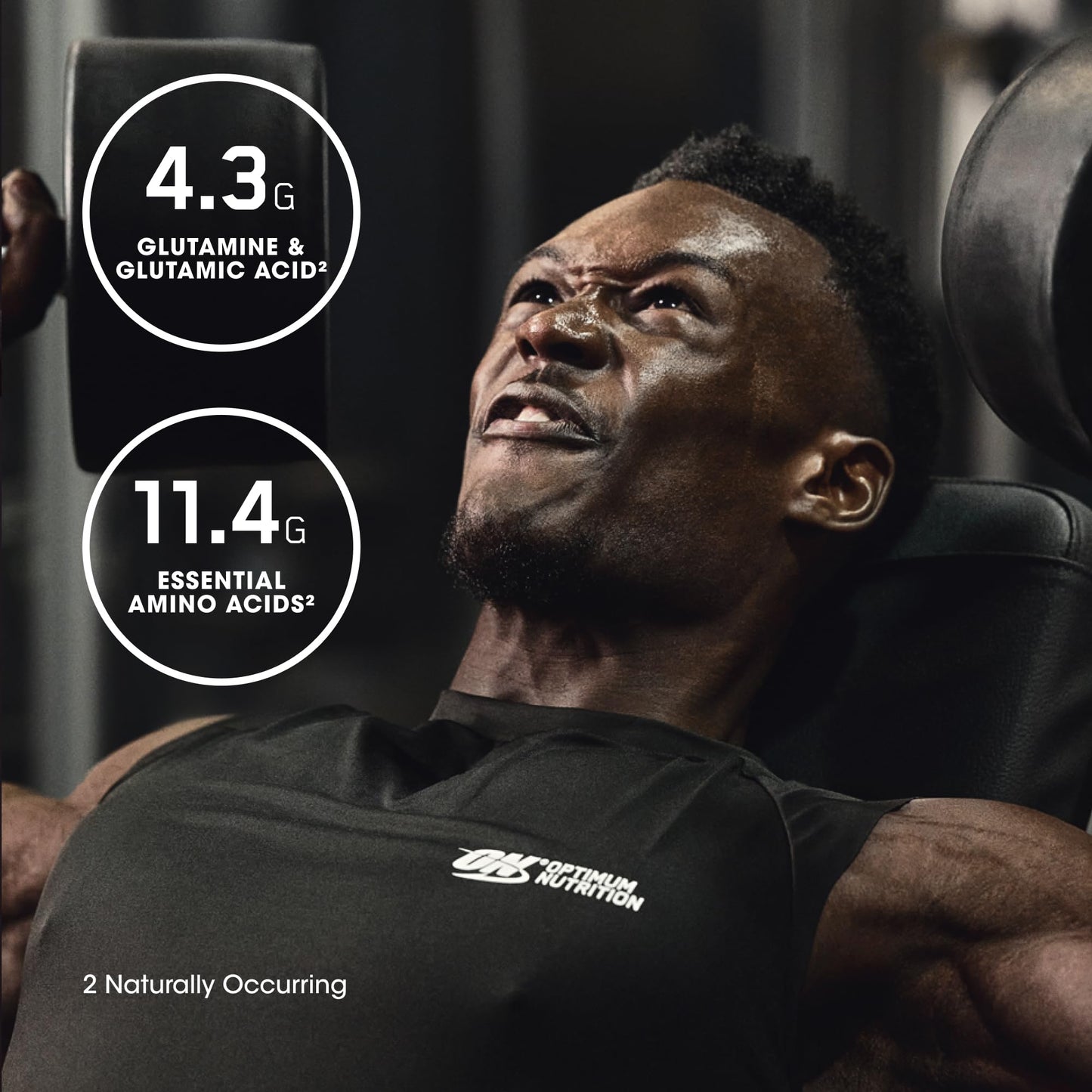 Optimum Nutrition Gold Standard 100% Isolate, Protein Powder, Chocolate Bliss, 3 Pounds, 44 Servings. Whey Protein Isolate (Packaging May Vary) (Pack of 4)