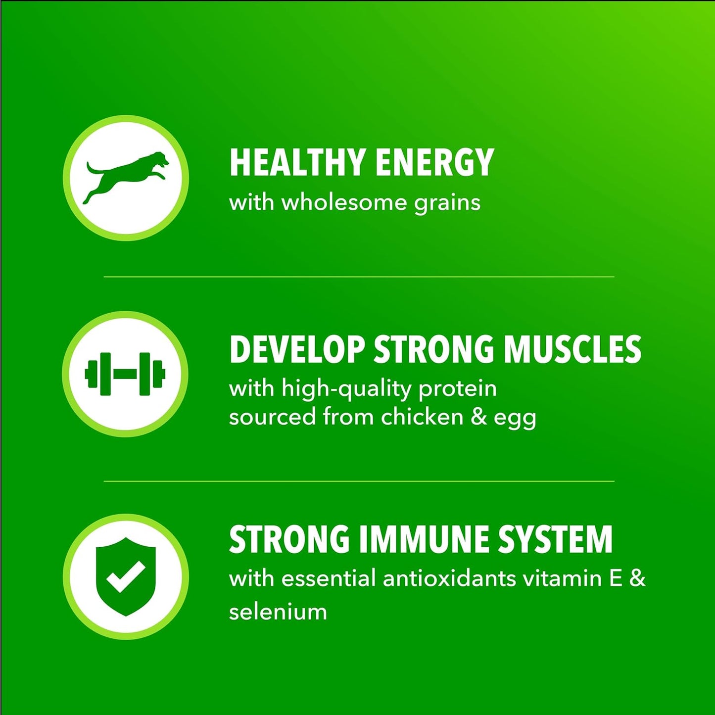 IAMS Proactive Health Adult Minichunks: A Nutritious Choice for Your Furry Friend