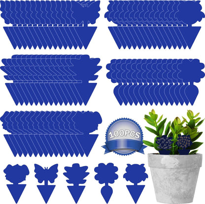 Blue-100pcs