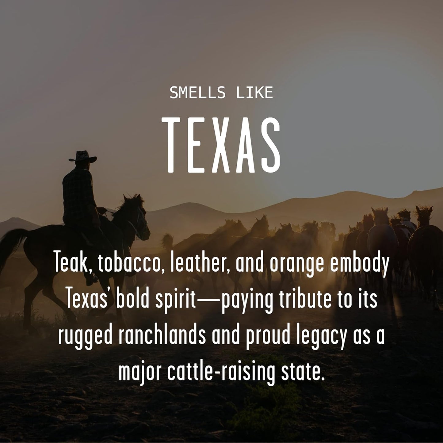 There's No Place Like Texas Candle: A Nostalgic Souvenir for Home
