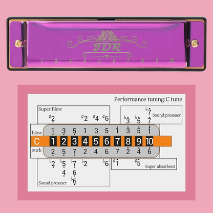 JDR Mundharmonika C, Blues-Mundharmonika in C, 10-Loch, 20 Töne mit Etui, Standard diatonisch für Anfänger, Erwachsene, Profis, Lehrer, Eltern, Schüler, Schwarz, Neujahrsgeschenk