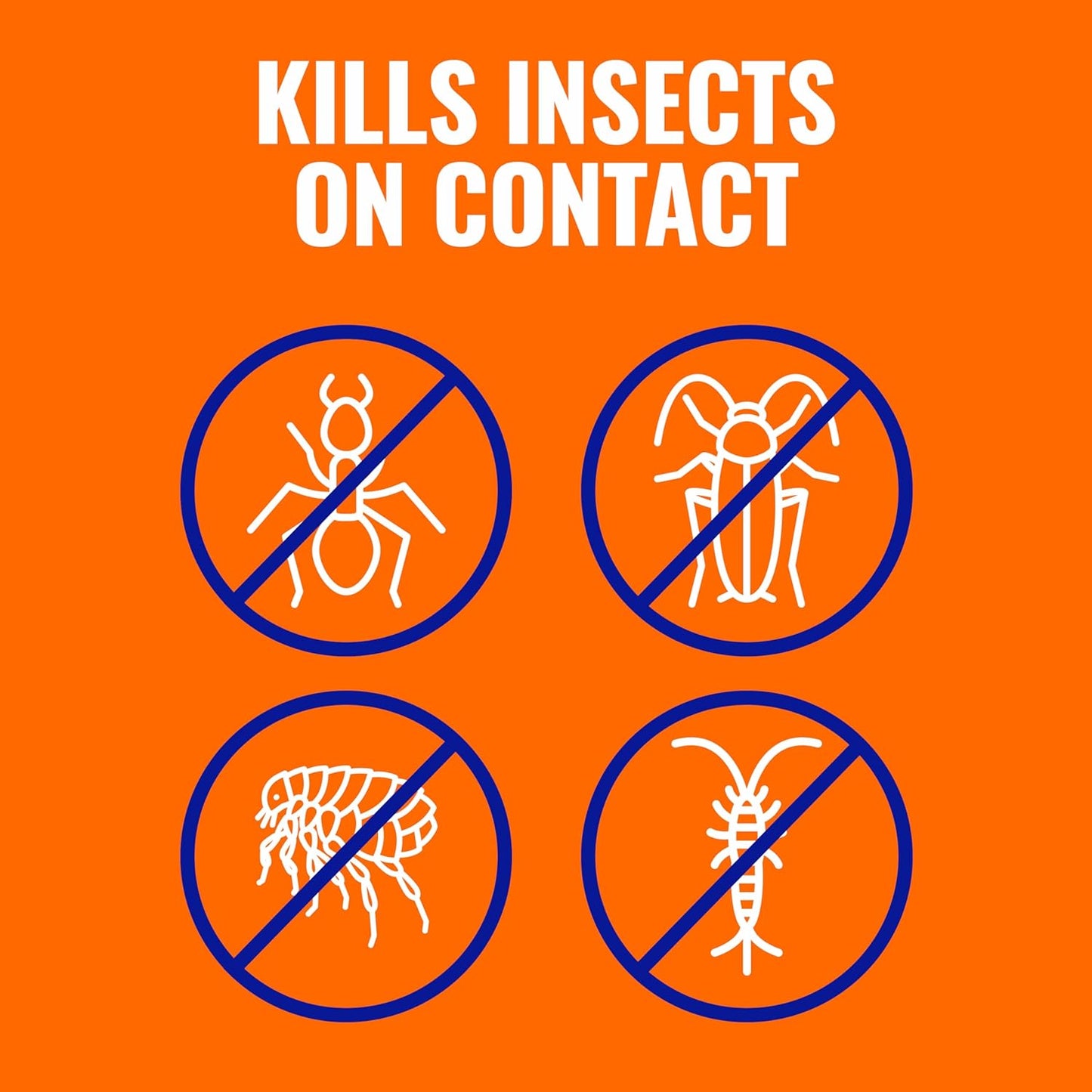 TERRO Ant Killer Plus: A Game-Changer for Outdoor Insect Control