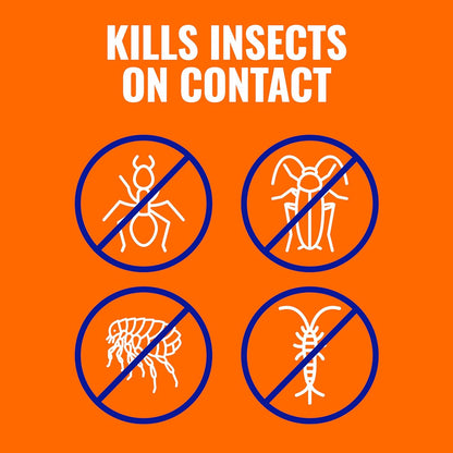 TERRO Ant Killer Plus: A Game-Changer for Outdoor Insect Control