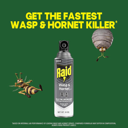 Raid Wasp & Hornet Killer Spray: A Lifesaver for Outdoor Spaces