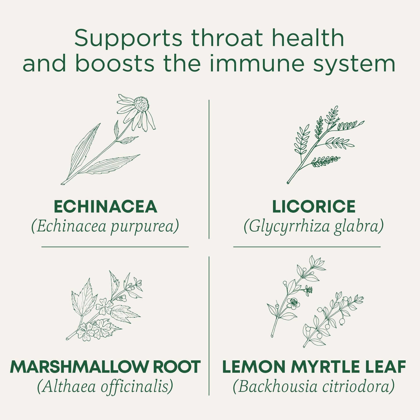 Traditional Medicinals Organic, Throat Coat Lozenges, Lemon Ginger Echinacea - Herbal Cough Drops, Helps Soothe Sore Throat - Non-GMO, Stimulant-Free - 16 Count (Pack of 12)