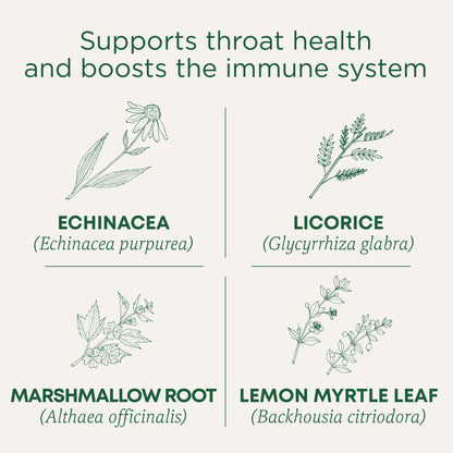 Traditional Medicinals Organic, Throat Coat Lozenges, Lemon Ginger Echinacea - Herbal Cough Drops, Helps Soothe Sore Throat - Non-GMO, Stimulant-Free - 16 Count (Pack of 12)