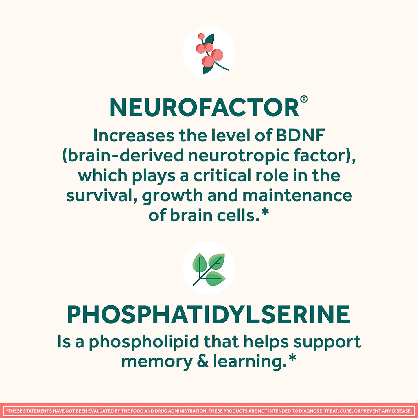 NEURIVA Plus Brain Supplements for Memory and Focus, Clinically Tested Nootropics Neurofactor and Phosphatidylserine with Vitamin B12, Vitamin B6, 50 Count Strawberry Gummies (Pack of 12)