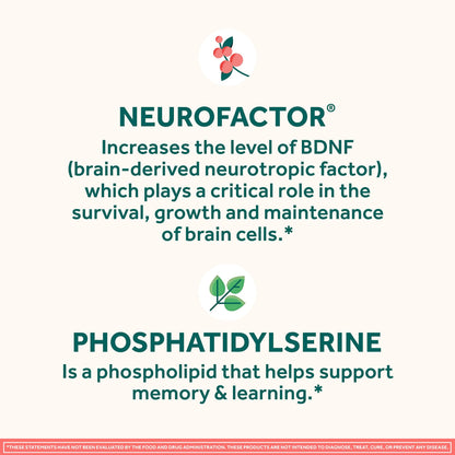 NEURIVA Plus Brain Supplements for Memory and Focus, Clinically Tested Nootropics Neurofactor and Phosphatidylserine with Vitamin B12, Vitamin B6, 50 Count Strawberry Gummies (Pack of 12)