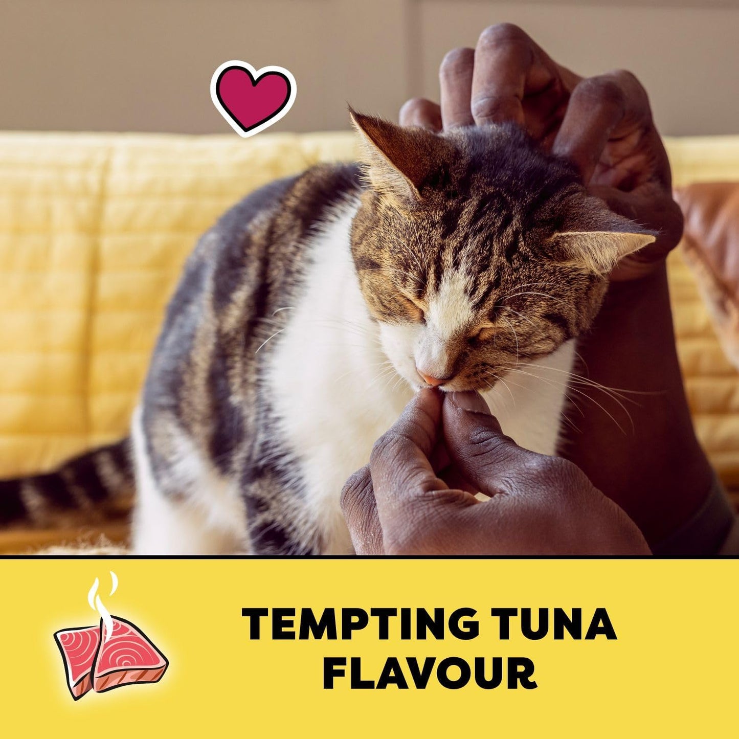 TEMPTATIONS Katzensnacks, Geschmack Hühnchen, 454g Dose