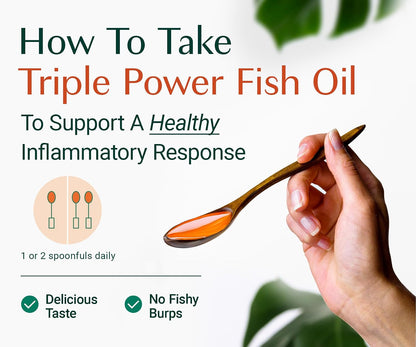 ALGAECAL Powerhouse Bundle - D3 Complete (1000 IU) + K2, Vitamin E, Vitamin A & Bone Builder Pack for Increased Bone Density & Omega 3 Fish Oil 1200mg EPA DHA & Osteoporosis Book