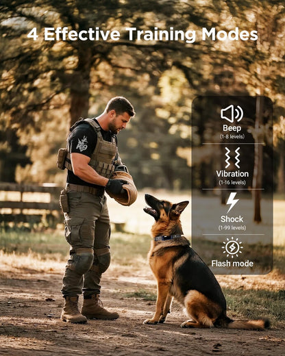 BLACKDOG Military Dog Shock Collar Review: A Game-Changer for Dog Training?