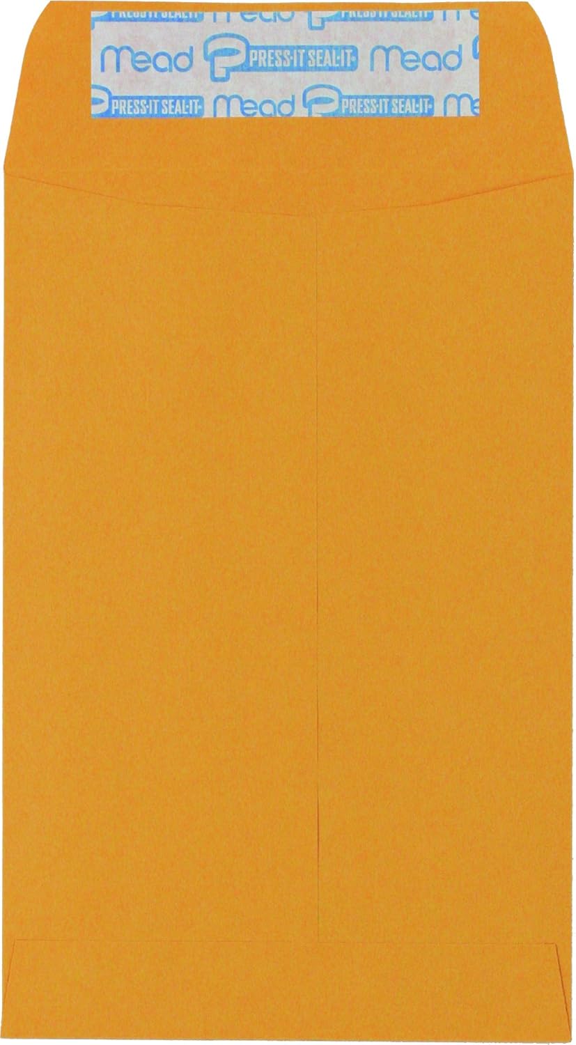 Hilroy Kraft-Briefumschläge, 22,9 x 30,5 cm, Press-it Seal-it Verschluss, 25 Stück pro Packung (76044)
