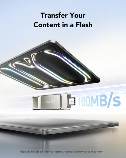 Lexar D40E 128GB Dual USB 3.2 Gen 1 Type-C Jump Drive, USB-C Flash Laufwerk Metallgehäuse Drehdesign (Champagne Silber)