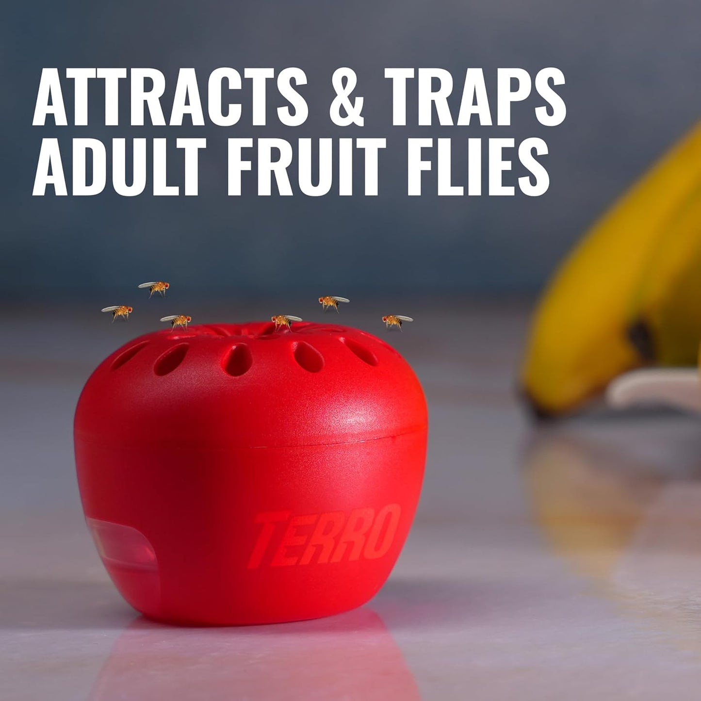 TERRO Fruit Fly Trap 4-Pack Review: A Discreet and Effective Solution