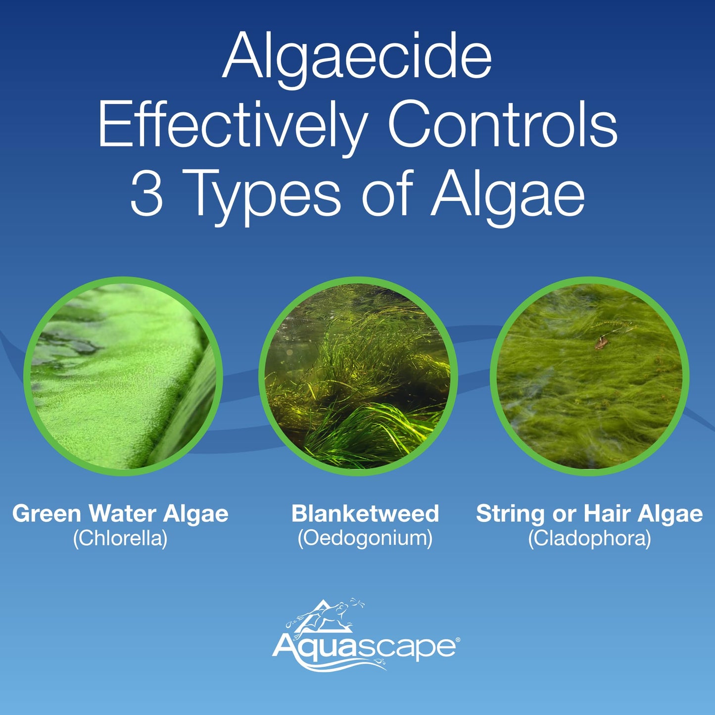 Aquascape Algaecide for Pond, Waterfall, and Water Features, 2.5-Gallon, 96053