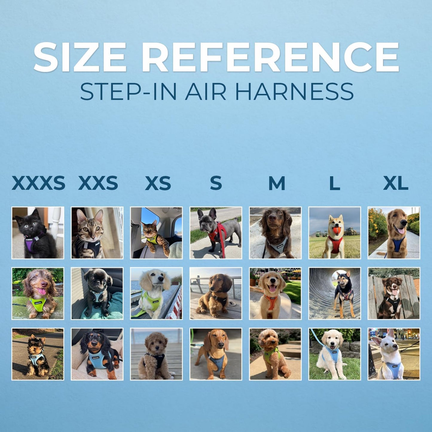 Hands-Free Walks with The Best Pet Supplies Voyager Step-in Air Harness