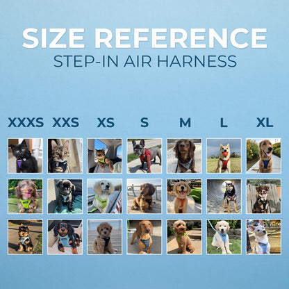 Hands-Free Walks with The Best Pet Supplies Voyager Step-in Air Harness