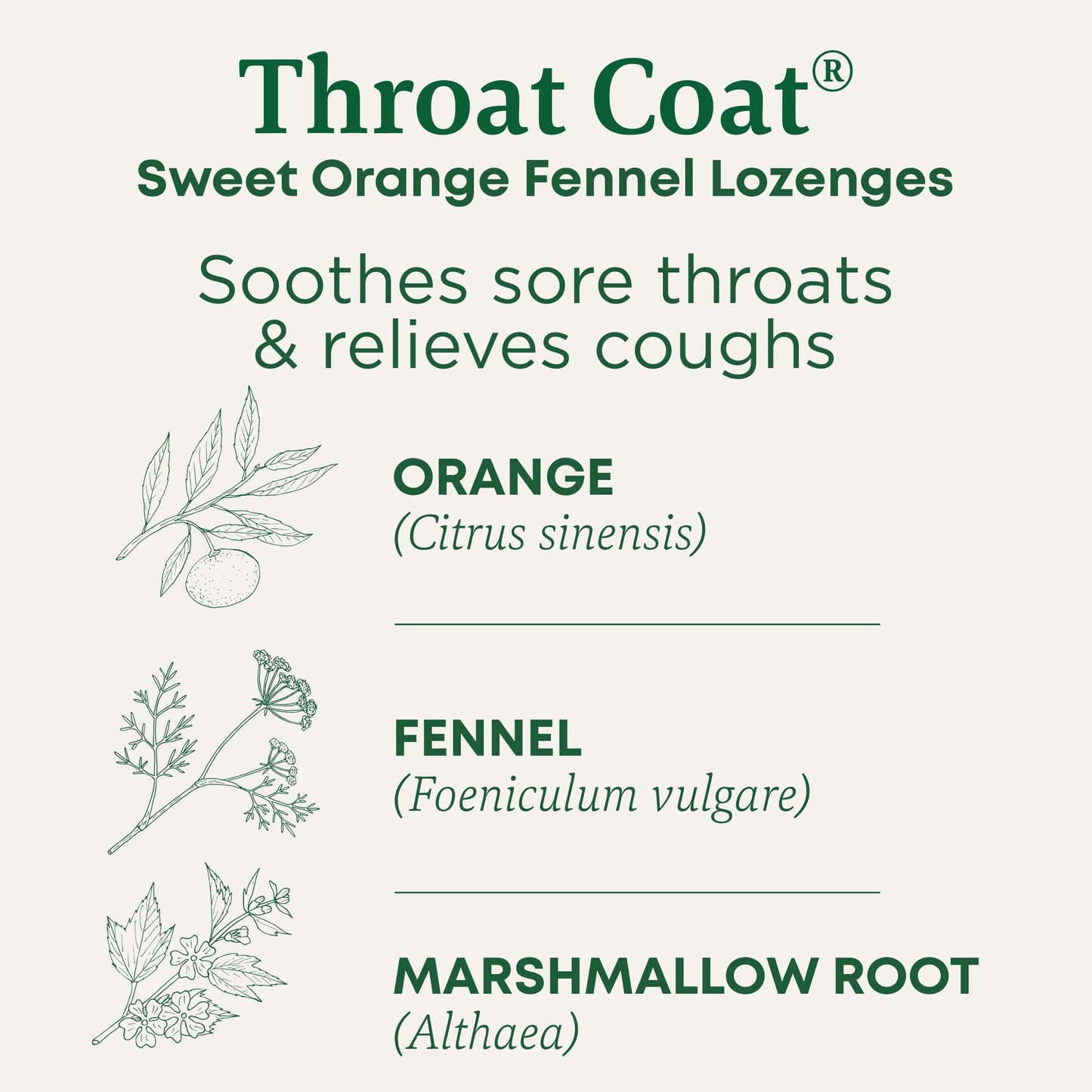 Traditional Medicinals Organic, Throat Coat Lozenges, Lemon Ginger Echinacea - Herbal Cough Drops, Helps Soothe Sore Throat - Non-GMO, Stimulant-Free - 16 Count (Pack of 12)