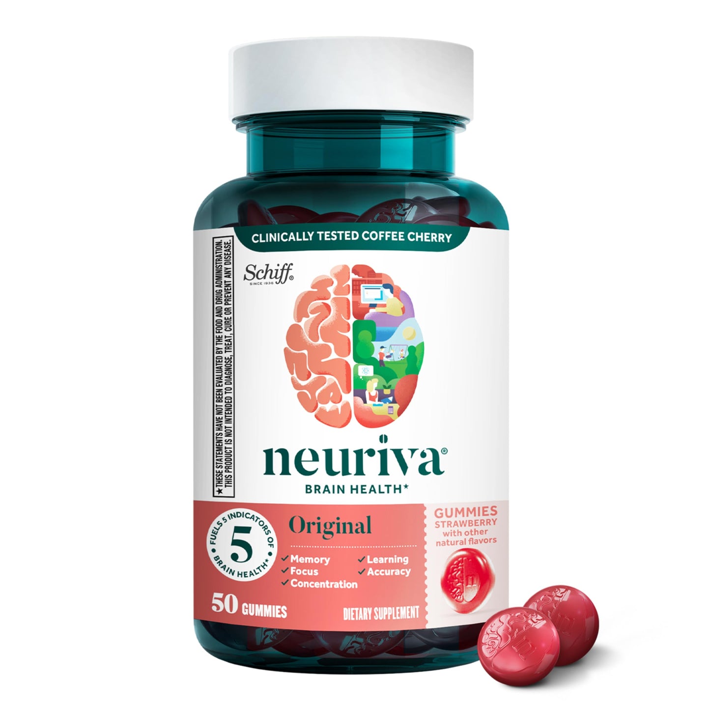 NEURIVA Plus Brain Supplements for Memory and Focus, Clinically Tested Nootropics Neurofactor and Phosphatidylserine with Vitamin B12, Vitamin B6, 50 Count Strawberry Gummies (Pack of 12)