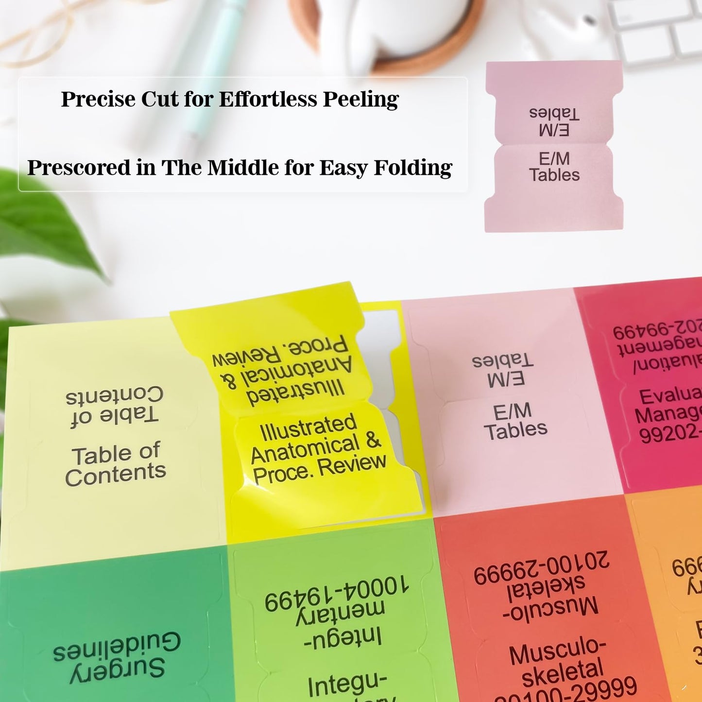 Index Tabs for CPT, AAPC Version ICD-10-CM, HCPCS Level II & ICD-10-PCS 2026, 4 Set Bundles Set (Book not Included), Color-Coded with Code Ranges, Laminated & Waterproof & Repositionable