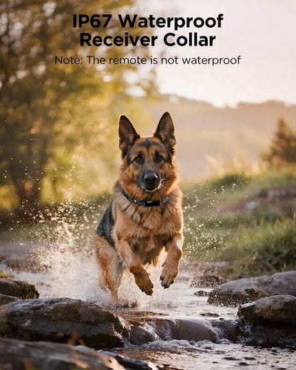 BLACKDOG Military Dog Shock Collar Review: A Game-Changer for Dog Training?