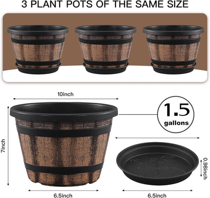 Whiskey Barrel Planters: A Rustic Touch for Your Indoor & Outdoor Garden