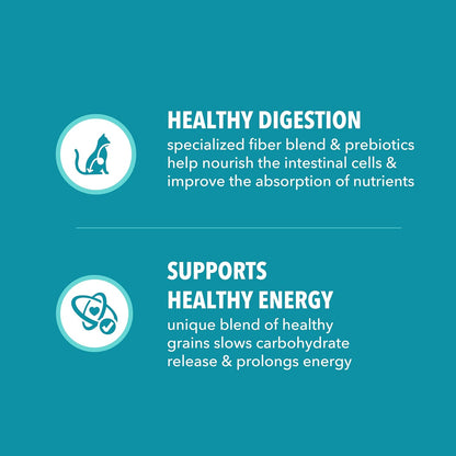 IAMS Proactive Health Dry Cat Food Review: A Holistic Approach to Feline Health