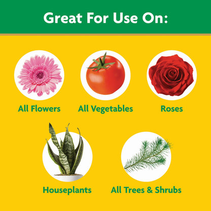 Miracle-Gro Water Soluble All Purpose Plant Food Review